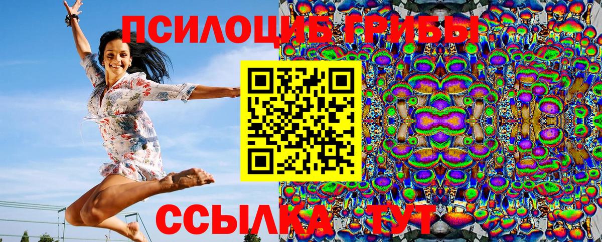 Псилоцибиновые грибы Psilocybe  где можно купить наркотик  Железноводск  Вход с VPN 